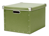 Image cargo® Naturals Dual File Box, Sage