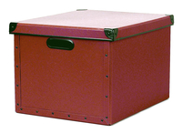 Image cargo® Naturals Dual File Box, Red Spice